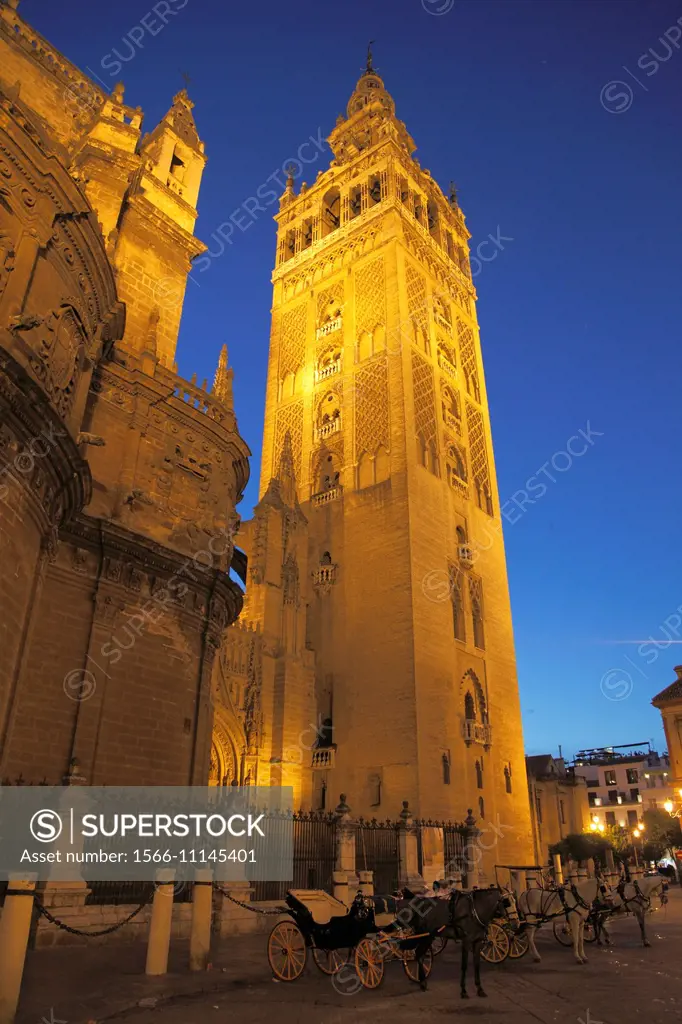 Spain, Andalusia, Seville, Cathedral, Giralda,.