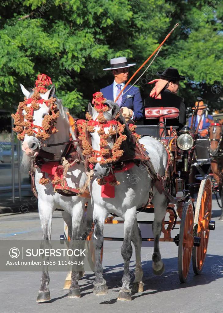 Spain, Andalusia, Seville, Fair, Feria de abril, people, horse carriage,.
