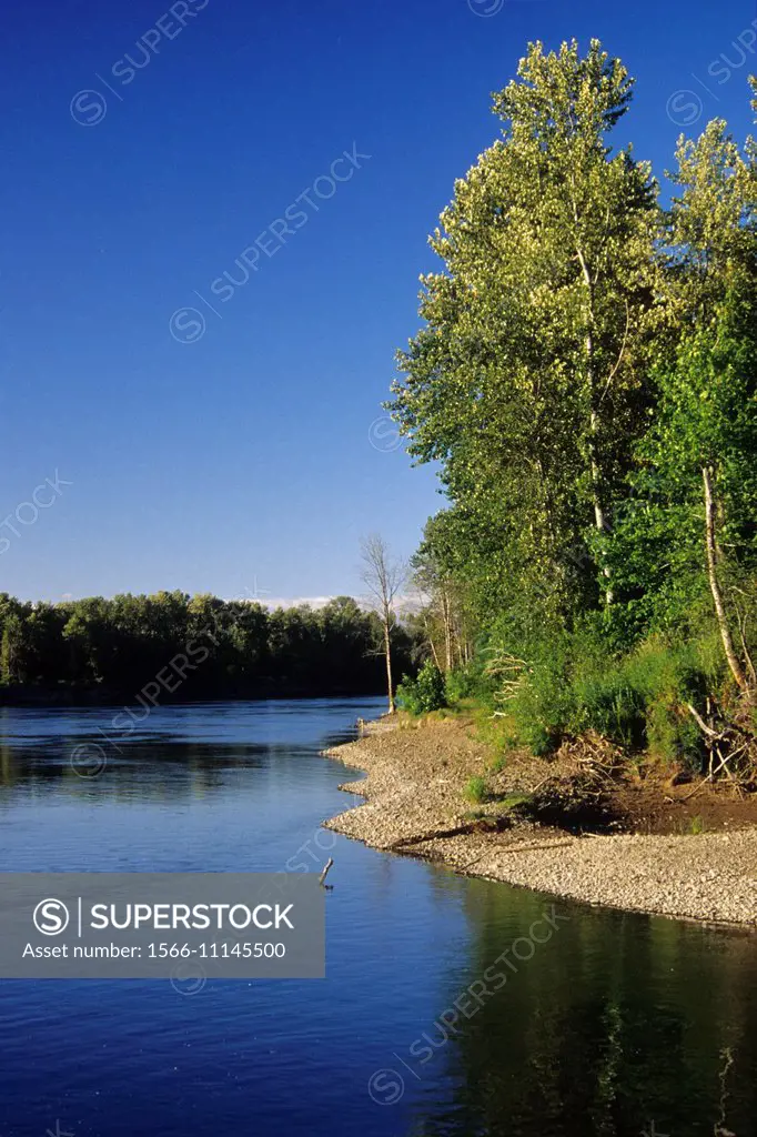 Willamette River, Willamette Mission State Park, Oregon.