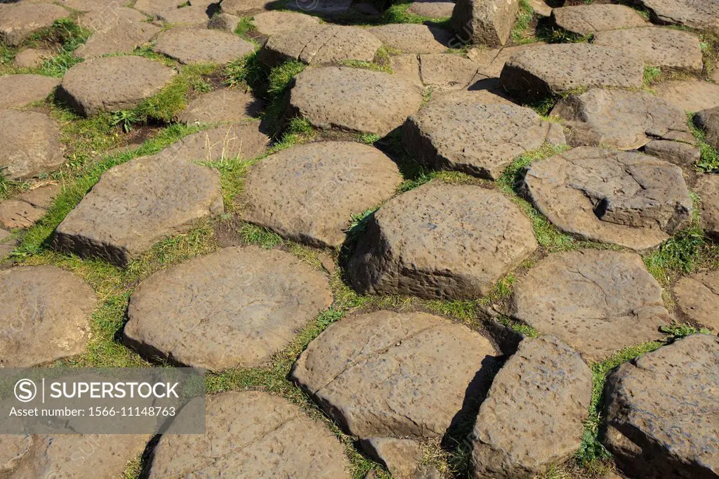 Polygonal basalt lava rock columns of the Giant´s Causeway on the north coast of County Antrim, Northern Ireland, UK.