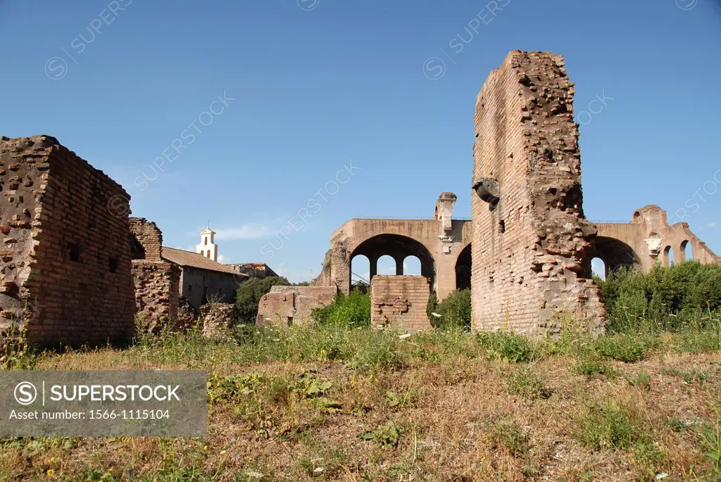 The Roman Forum, Campitelli, Rome, Lazio, Italy, Europe
