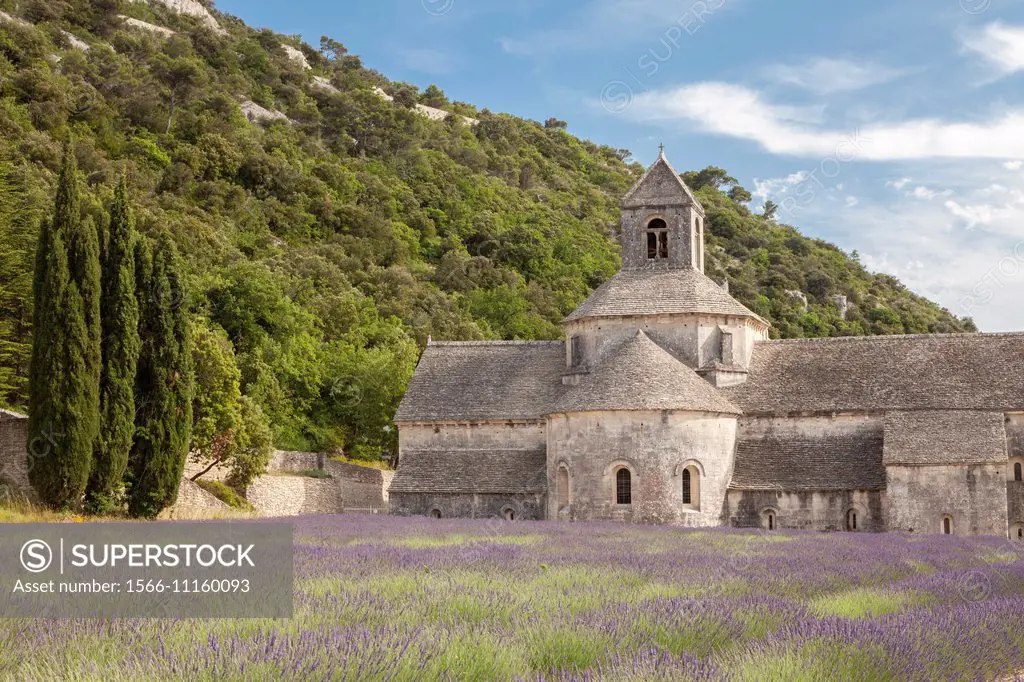 Abbaye Notre-Dame de Sénanque near Gordes village, Vaucluse, Provence, France.