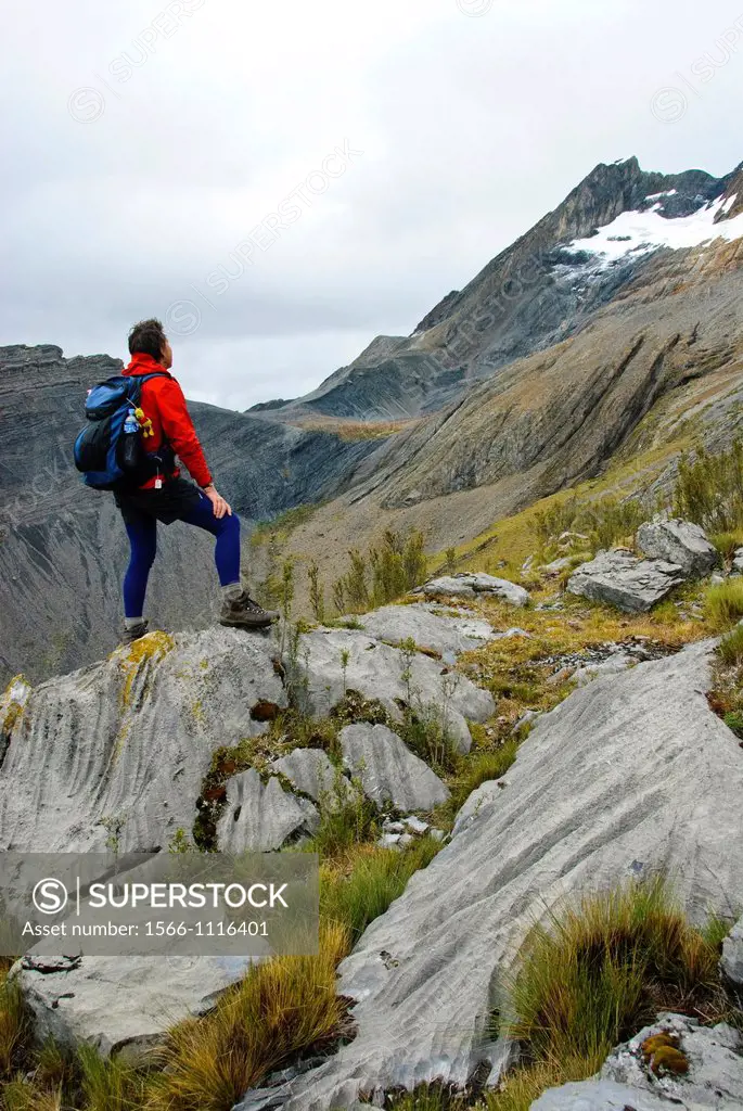 Trekker admires the peaks of Cordillera Huayhuash, Andes, Peru, South America
