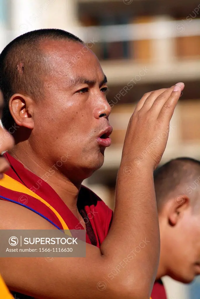Tibetan Lamas praying, Valencia, Spain