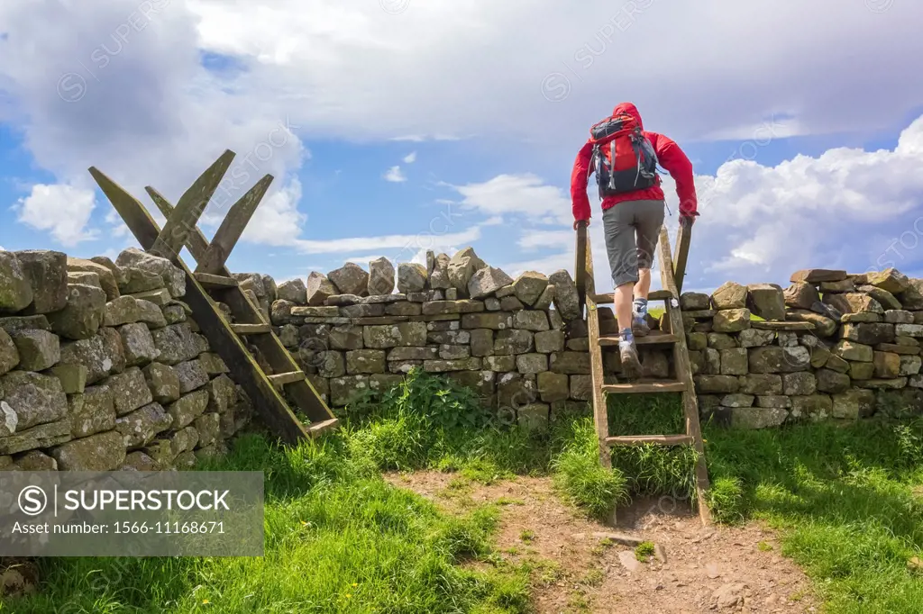 A hiker crosses a stile on the Hadrians Wall Walk at Crag Lough in Northumberland, England, UK.