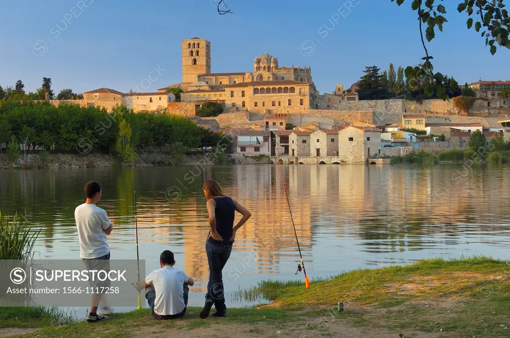 Cathedral and Duero river, Zamora, Silver Route, Castilla-Leon, Spain