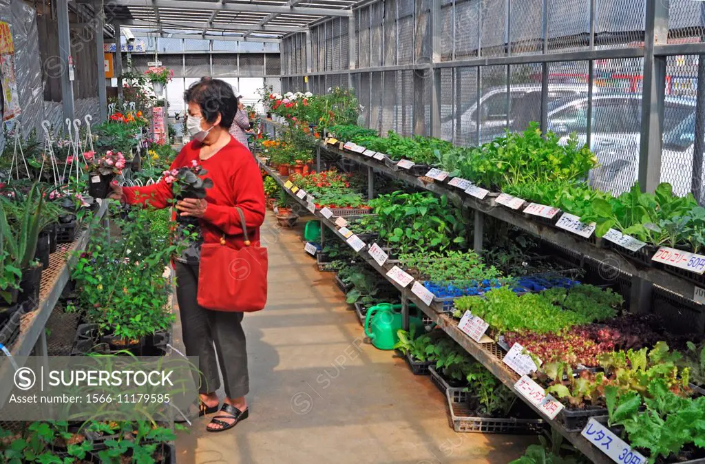 Ozato, Okinawa, Japan: plants sold at the farmers market