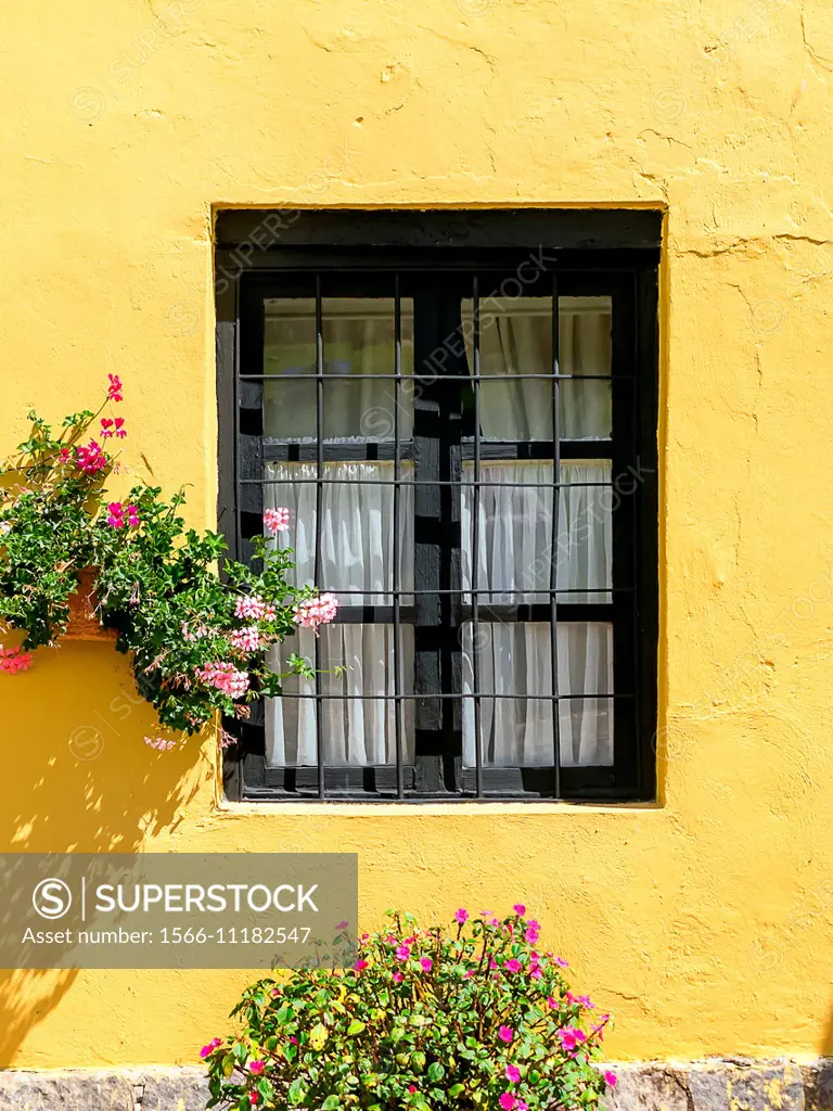 A window on a yellow wall.