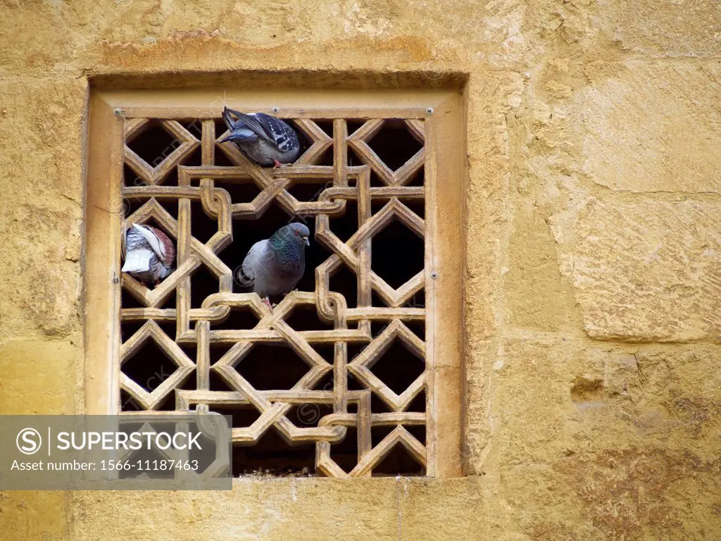 Pigeons at the Mosque-Cathedral of Cordoba. Córdoba. Spain.