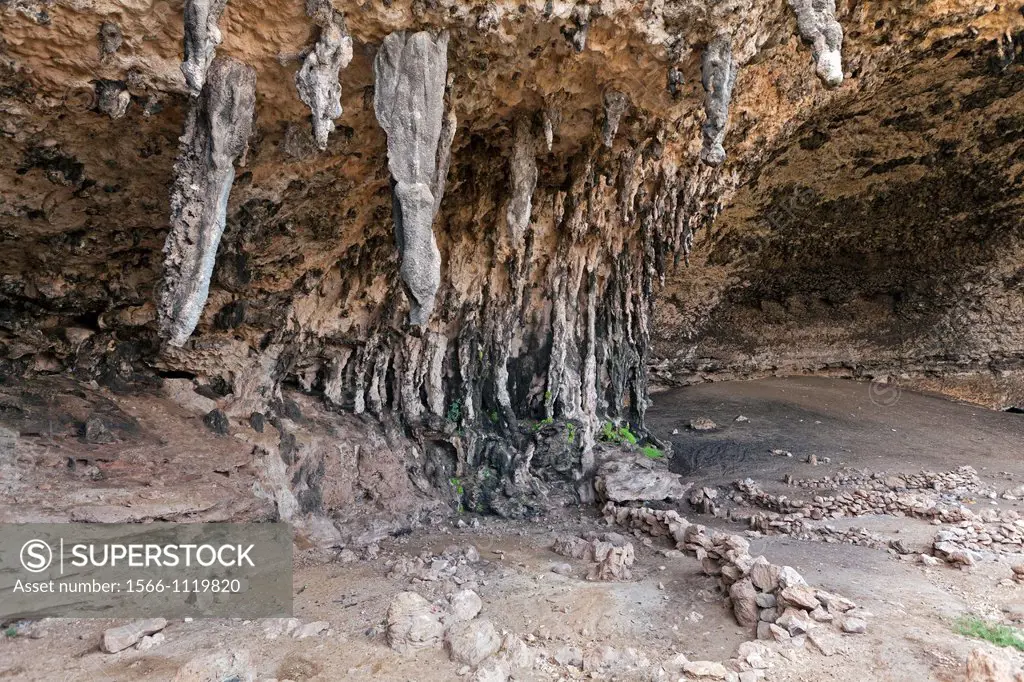 Dejub cave ont he south coast: the cave is used by locals and their goats herds as a dwelling and shelter during raining periods, Socotra island, list...