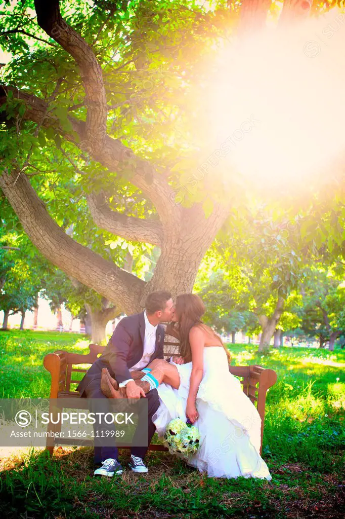 bride groom kissing on bench at sunset after wedding