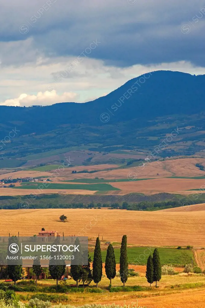 Fields and farmhouses, Tuscany Landscape, UNESCO world heritage site, Val d´Orcia, Pienza, Siena Province, Tuscany, Italy