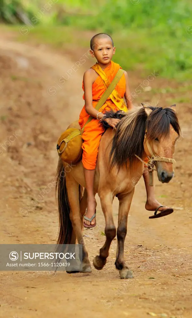 Novice and the horse on relaxation time, Wat Tam Pa Ar-Cha Thong, Maechan, Chiangrai, North of Thailand