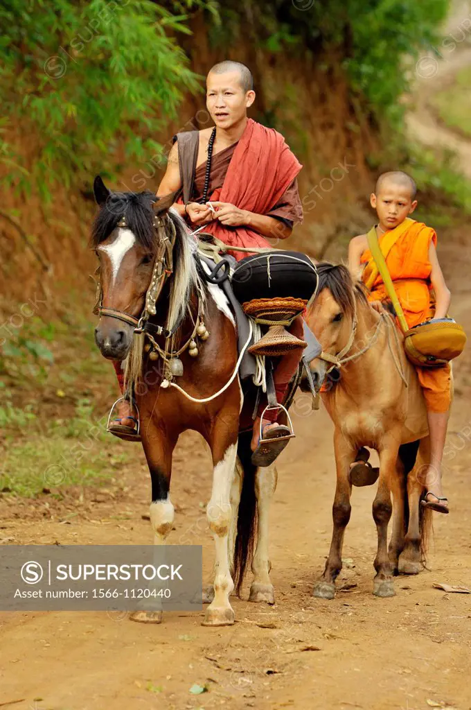 monk and novice are riding horse going to collecting alms offerings , Wat Tam Pa Ar-Cha Thong, Chiangrai, North of Thailand