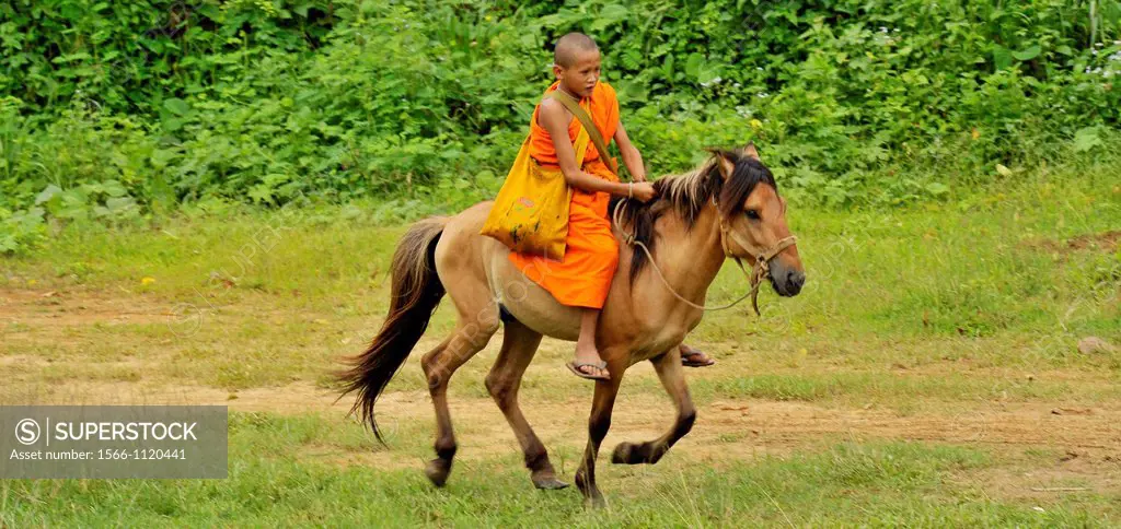 Novice and the horse on relaxation time, Wat Tam Pa Ar-Cha Thong, Maechan, Chiangrai, North of Thailand.
