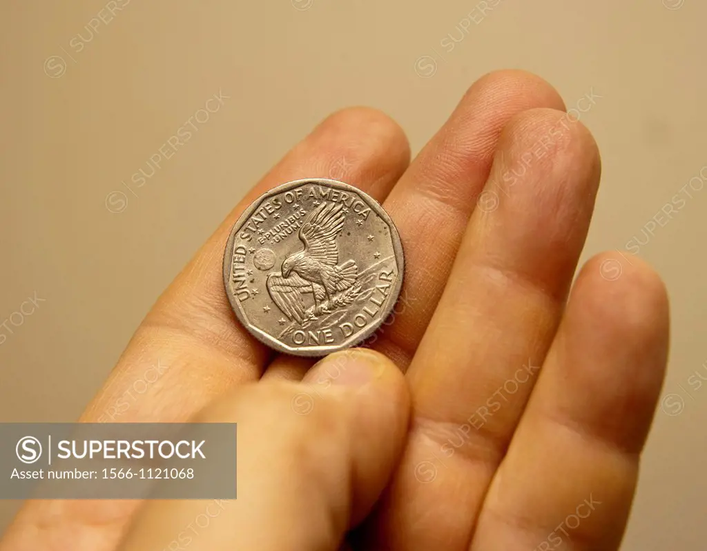The reverse of a 1979 Susan B Anthony U S dollar coin is seen in New York The unpopular coin, introduced in 1979, never gained any traction in the Min...