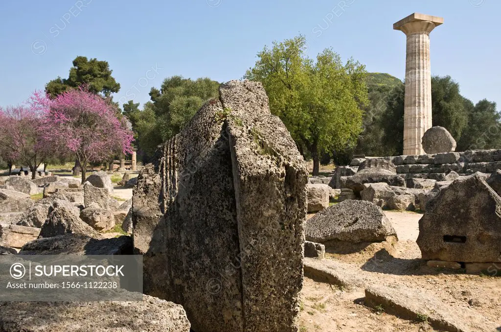 A re erected doric column towers over similar fallen capitals and column drums at the Temple of Zeus at ancient Olympia, Peloponnese, Greece