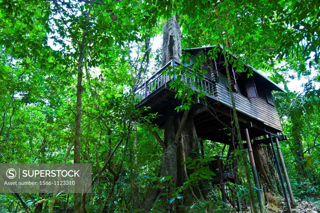 Our Jungle House Accommodation  Khao Sok National Park  Suratthani Province, Thailand, Asia.