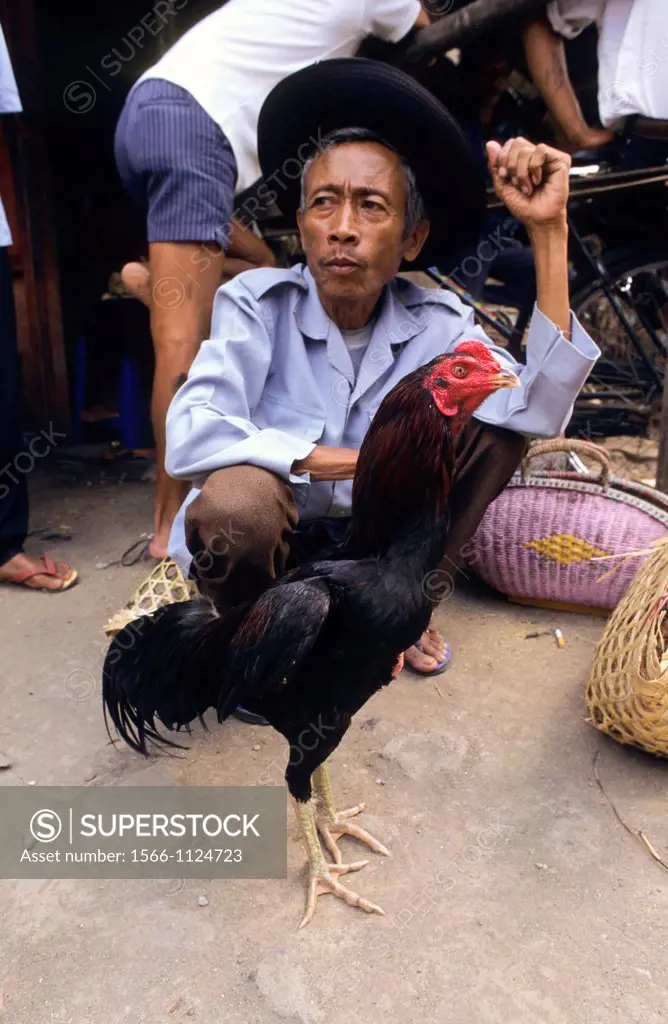 A Balinese man with a fighting cock Yogyakarta  Java  Indonesia