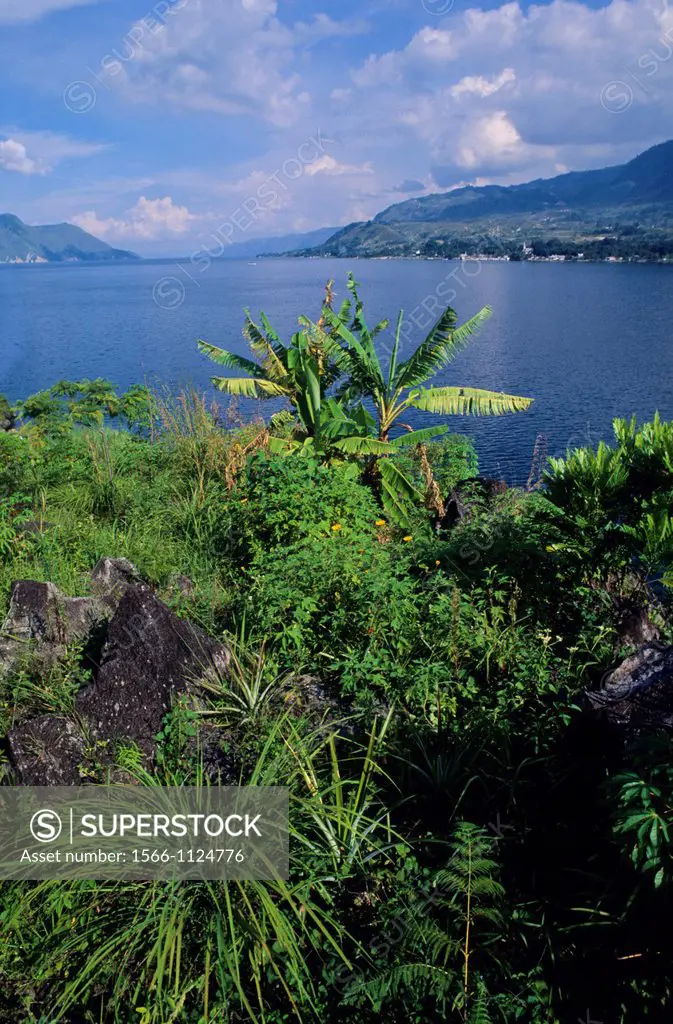 Samosir Toba lake  Sumatra  Indonesia