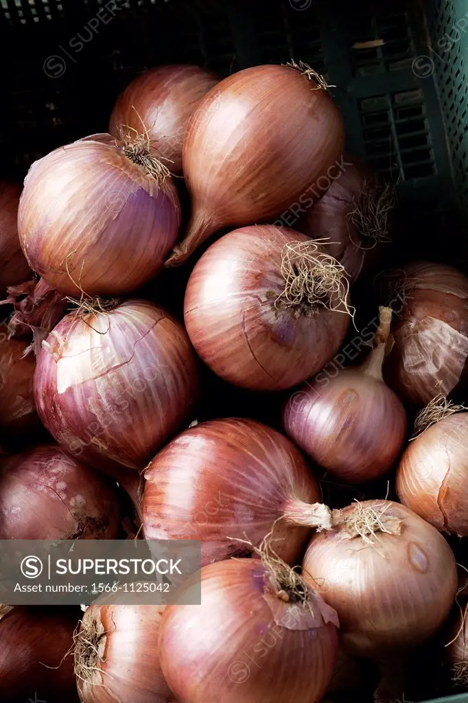 amount of onions stacked