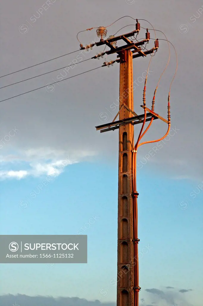 utility pole, sunset, Bages, Catalonia, Spain