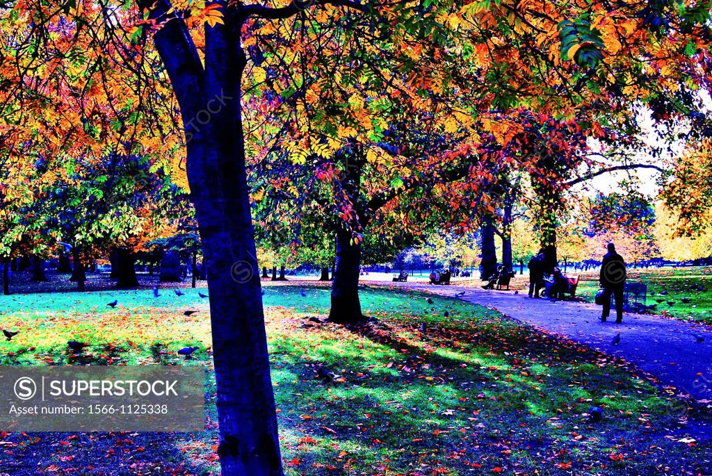 Visitors enjoy the bright Autumn/ Fall colours in St  James´s Park, London, England on a very sunny day