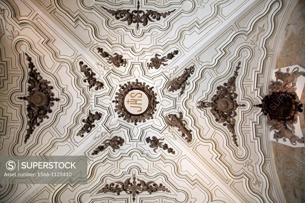 Ceiling Pontifical University, Salamanca, Castilla y Leon, Spain, Europe