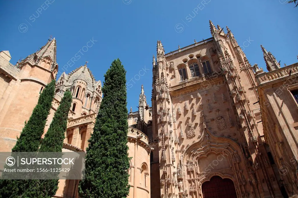 New Cathedral 16th century, Salamanca, Castilla y Leon, Spain, Europe