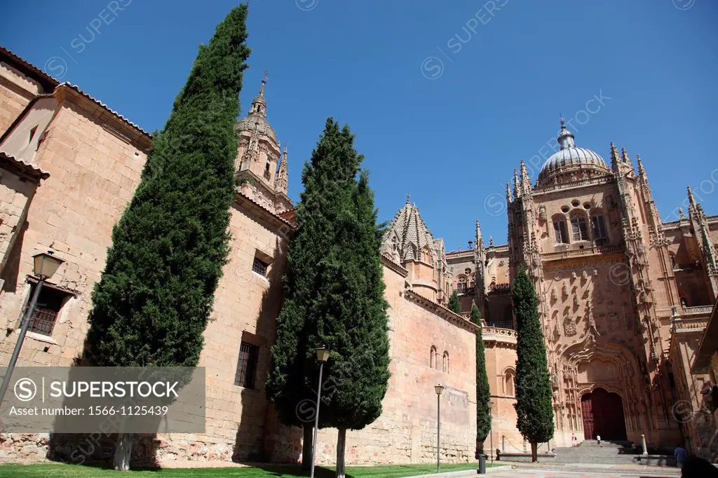 Overview of the New Cathedral 16th century, Salamanca, Castilla y Leon, Spain, Europe