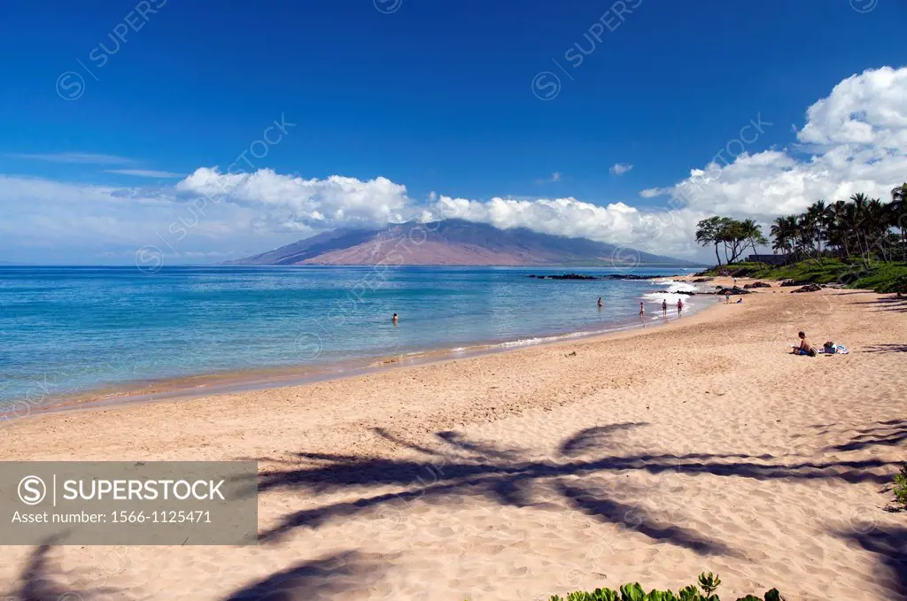Palm shadow at the beach in Wailea, Maui, Hawaii
