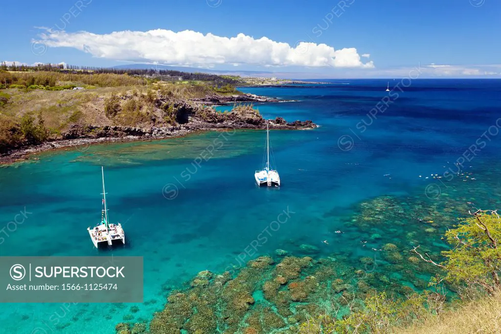 Honolua Bay, Maui, Hawaii is a prime spot for snorkeling in the summer
