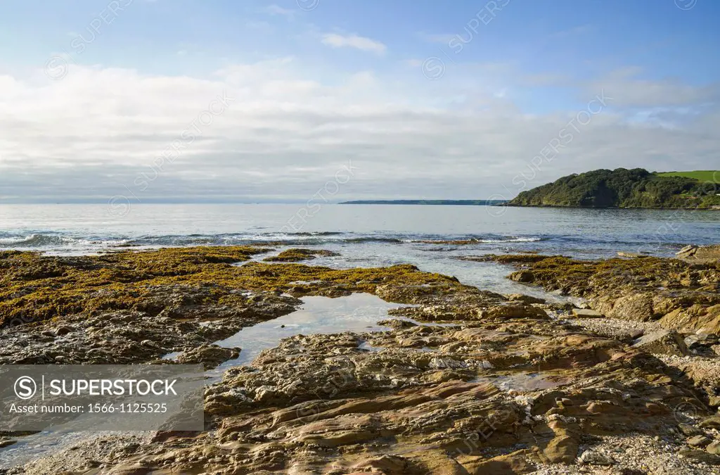 Rocky shoreline by Gyllygngvase beach, Falmouth, Cornwall, England, UK