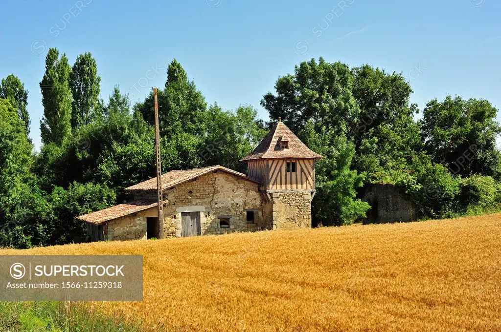 derelict building and wheat field, Lot-et-Garonne Department, France.