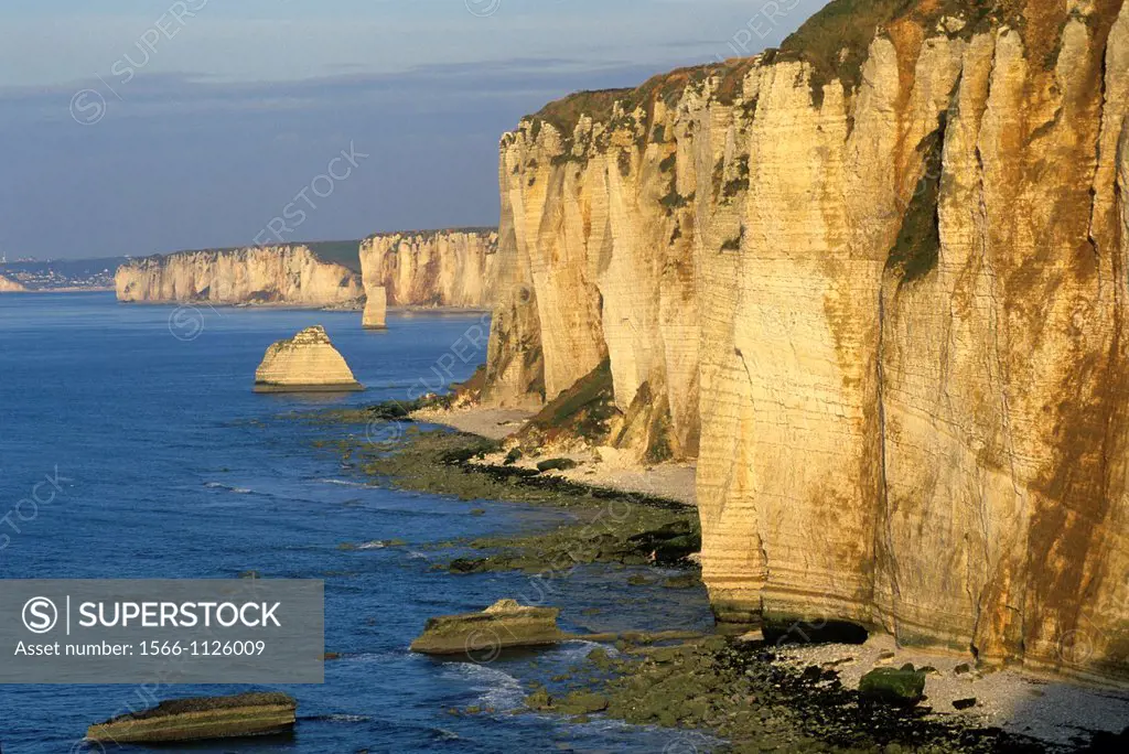 cliffs of Etretat, Cote d´Albatre, Pays de Caux, Seine-Maritime department, Upper Normandy region, France, Europe