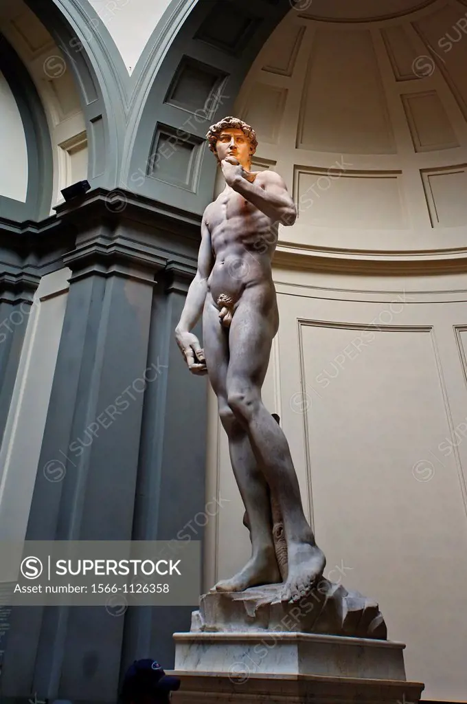 Michelangelo«s david, Accademia di bellearti, Florence, Tuscany, Italy.