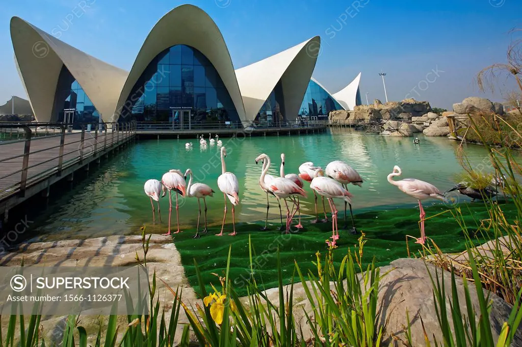 Oceanografic aquarium, City of Arts and Sciences by Santiago Calatrava  Valencia  Comunidad Valenciana, Spain.