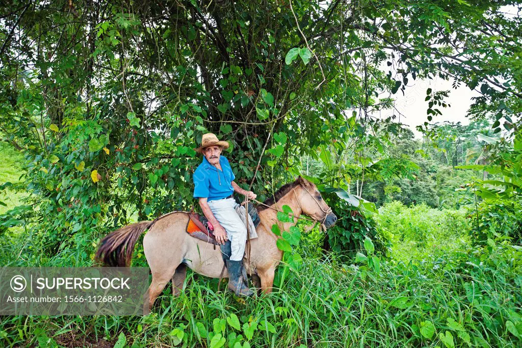 Man near La Fortuna town, National park Arenal, Costa Rica.