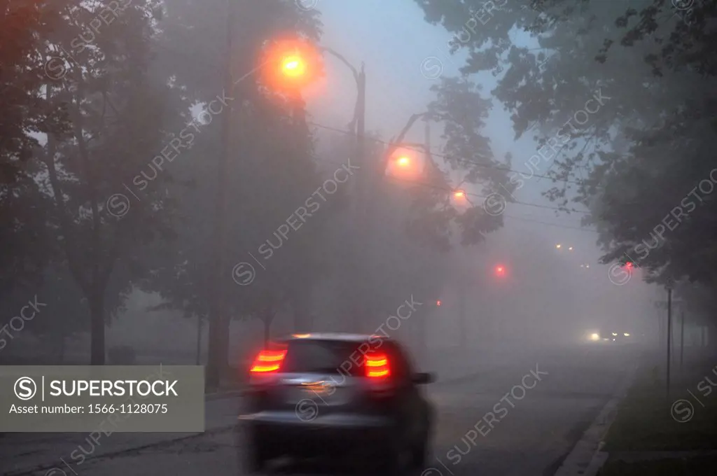 Car in early morning fog, Ontario, Canada