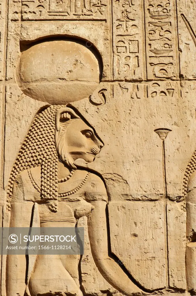 Egypt, Nile valley, cruise on the Nile river between Luxor and Aswan, Kom Ombo, Temple of Sobek and Horus, Sekhmet lion goddess
