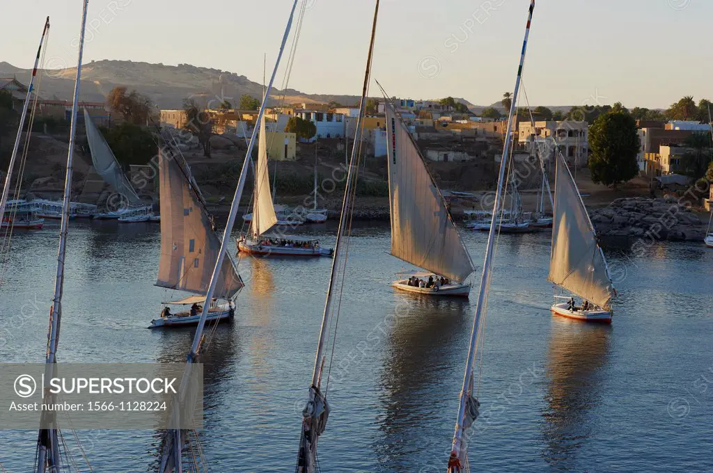 Egypt, Nile valley, Aswan, Feluccas on the Nile River