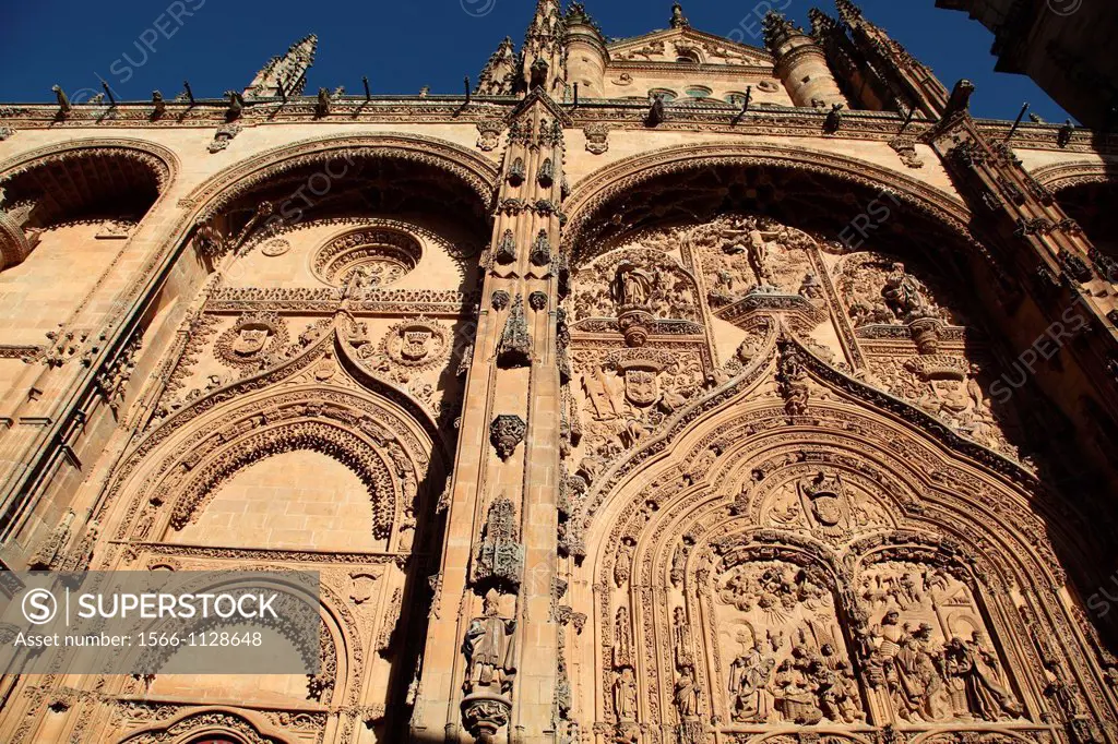 Cathedral Details, Salamanca, Castilla y Leon, Spain, Europe