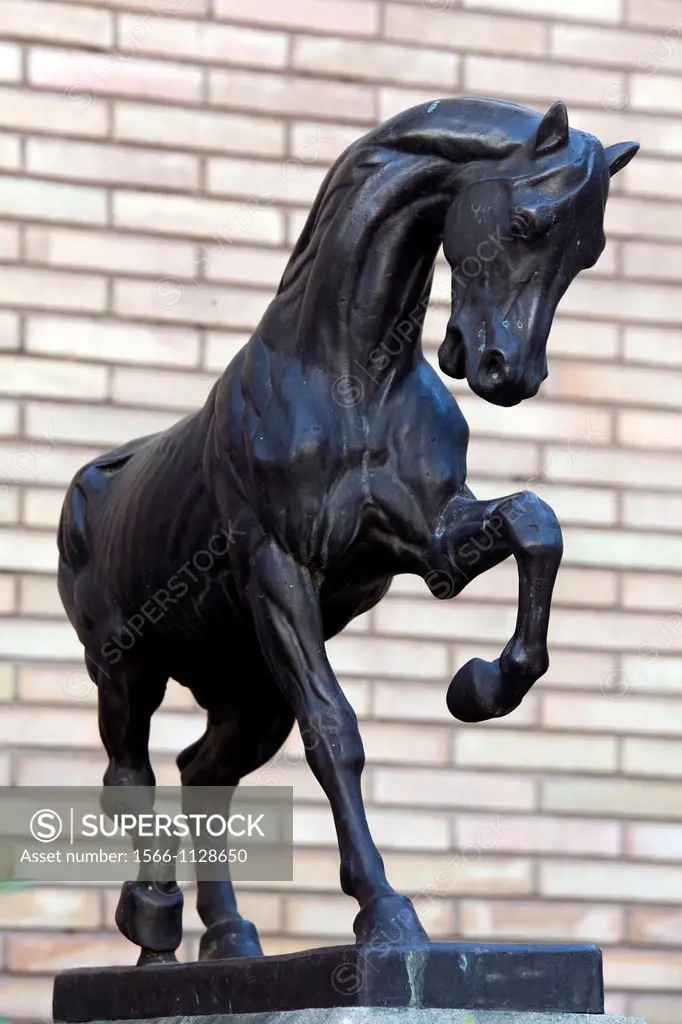 Statue of a Horse, Salamanca, Castilla y Leon, Spain, Europe