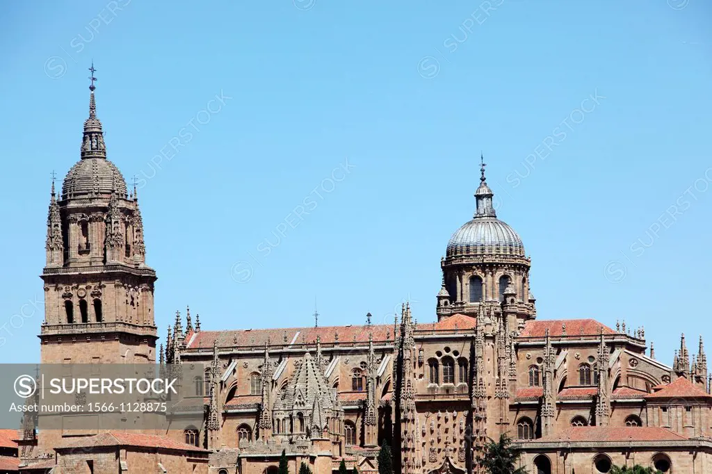 Panoramic view of the Cathedral, Salamanca, Castilla y Leon, Spain, Europe