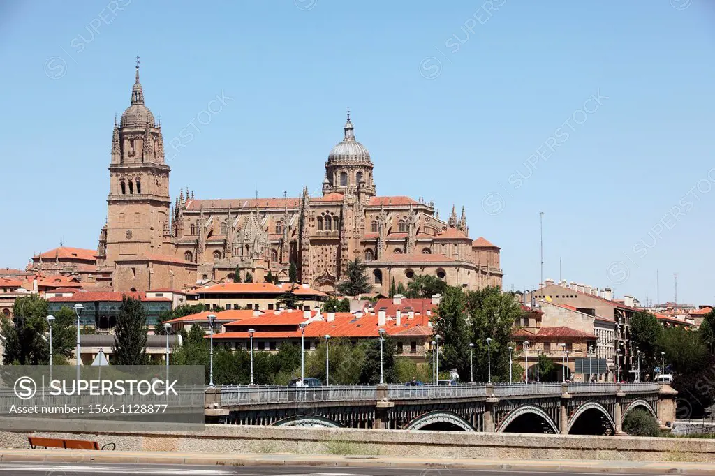 Panoramic view of the Cathedral and the bridge Tormes, Salamanca, Castilla y Leon, Spain, Europe