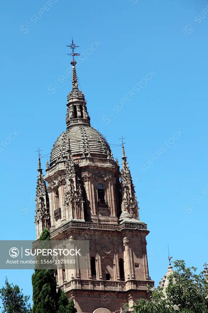 View of the tower of the Cathedral, Salamanca, Castilla y Leon, Spain, Europe