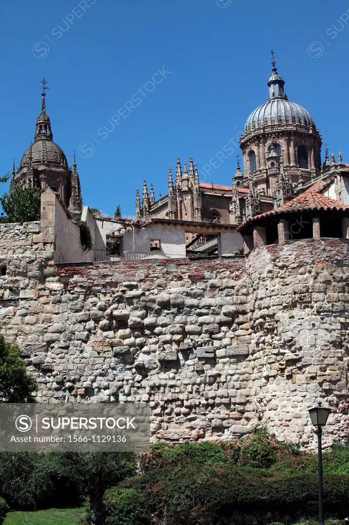 View of the towers of the Cathedral, Salamanca, Castilla y Leon, Spain, Europe
