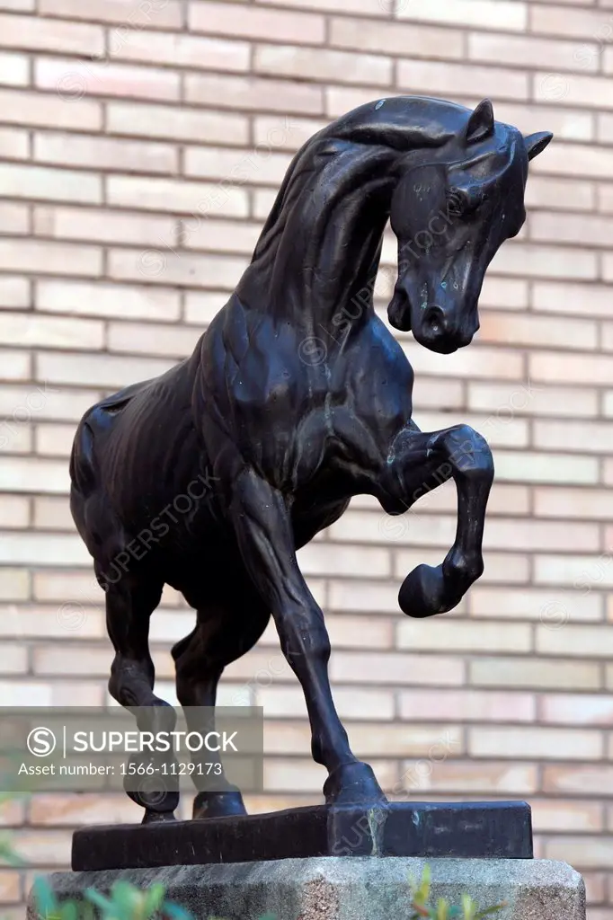Statue of a Horse, Salamanca, Castilla y Leon, Spain, Europe