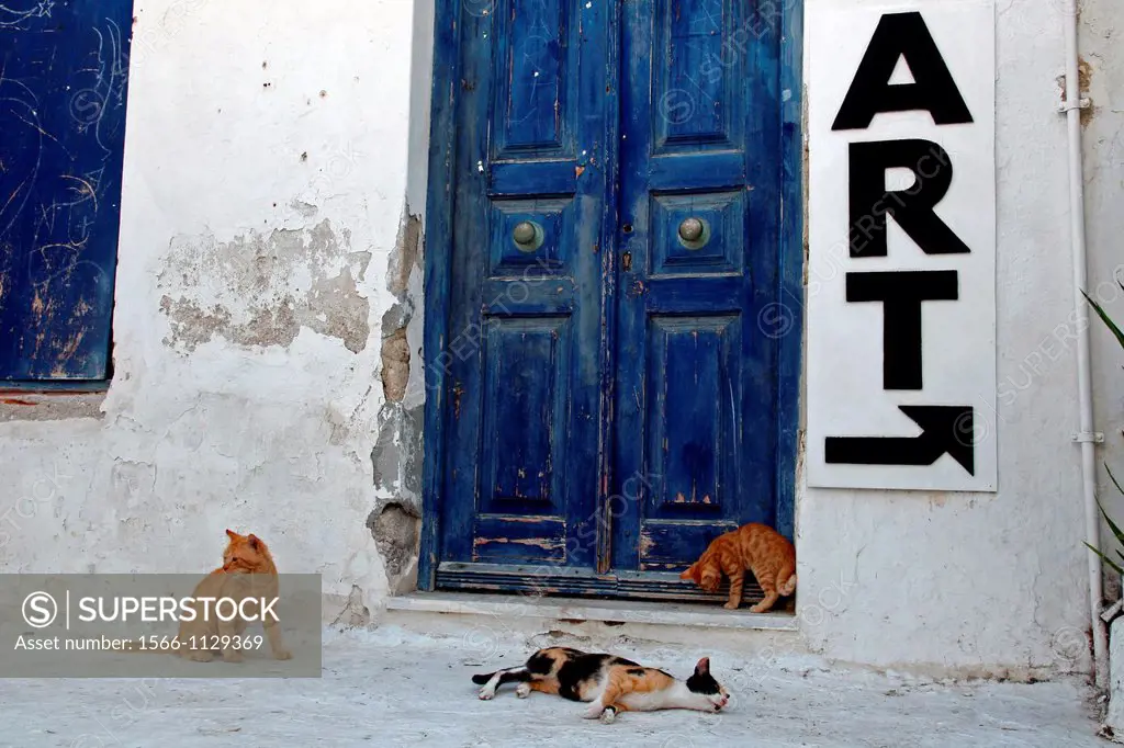cats, Chora, Mykonos, Greece