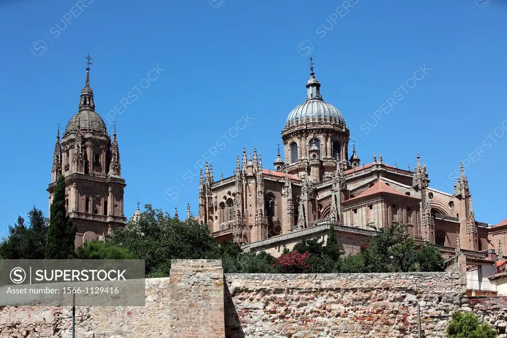 View of the towers of the Cathedral, Salamanca, Castilla y Leon, Spain, Europe